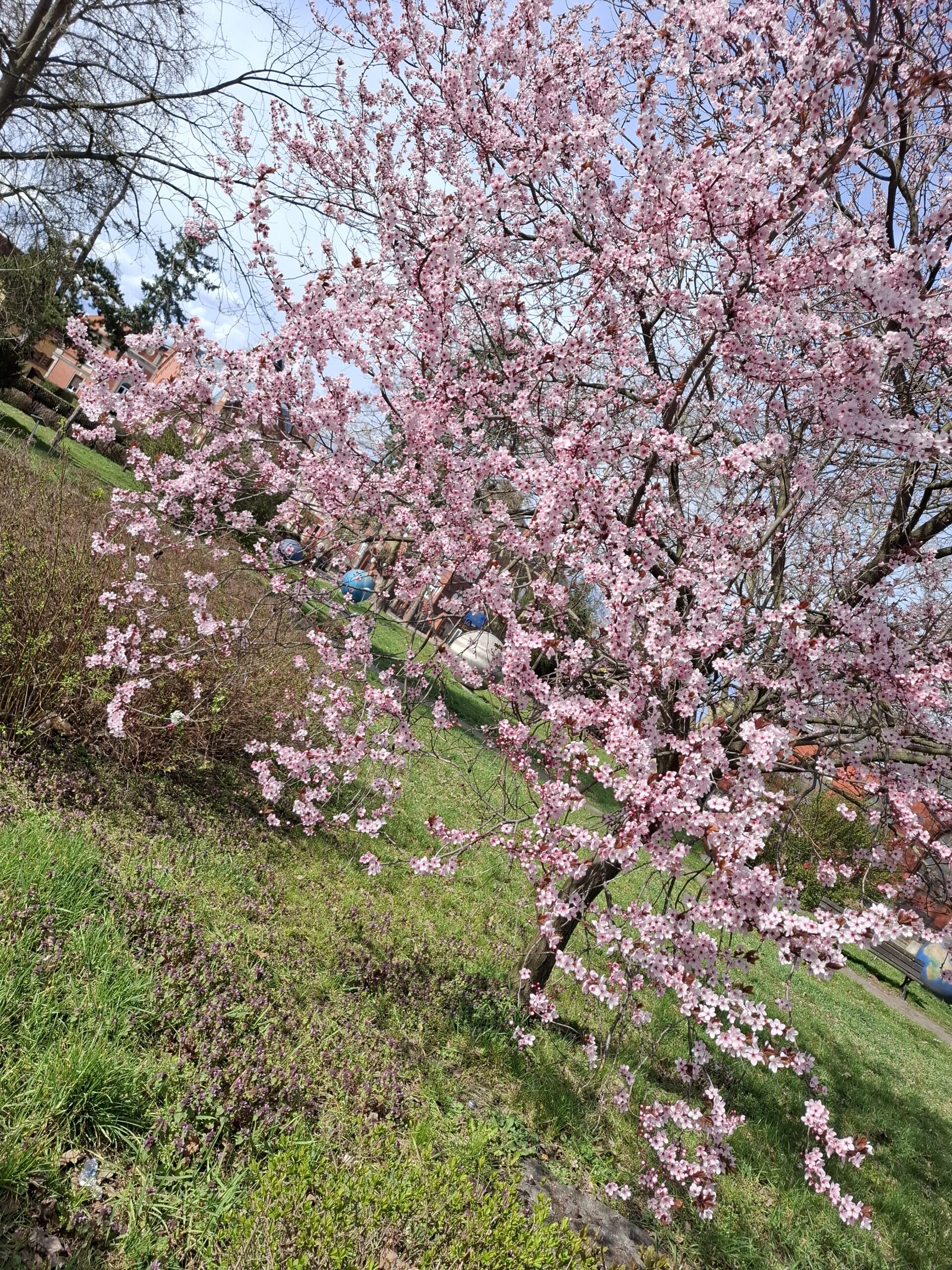 Jak radzić sobie ze stresem?